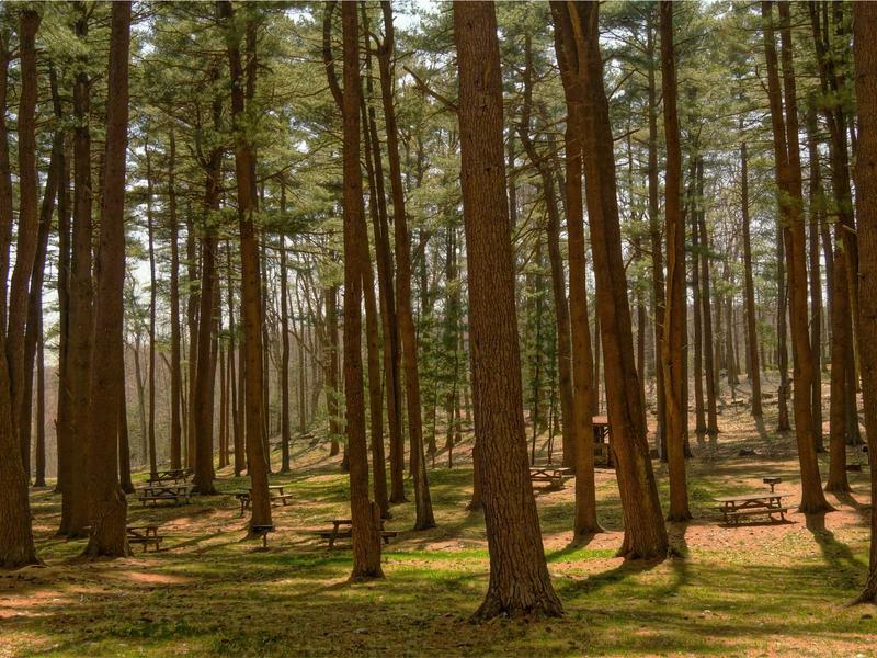 sudoku device transfer screenshot 5