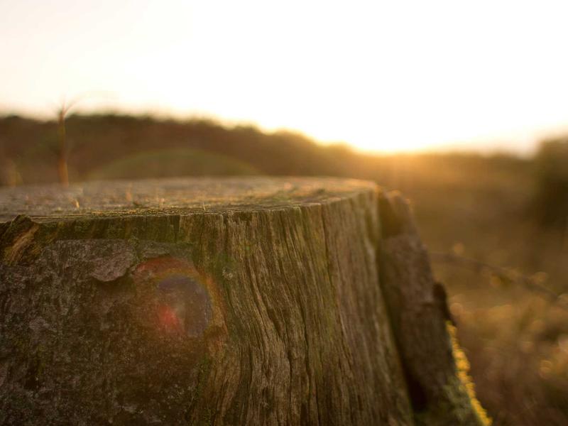 sudoku device transfer screenshot 6